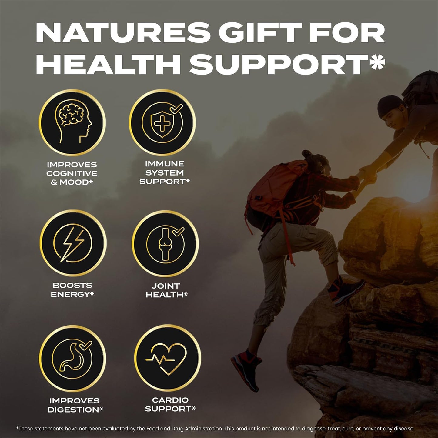 Shilajit Honey Sticks for Men, 100% Pure with Acid Fulvic, Essential Minerals, Boost Energy and Immunity, 30 Individually Packaged.