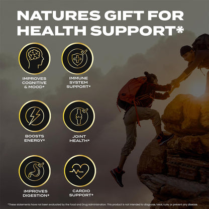 Shilajit Honey Sticks for Men, 100% Pure with Acid Fulvic, Essential Minerals, Boost Energy and Immunity, 30 Individually Packaged.