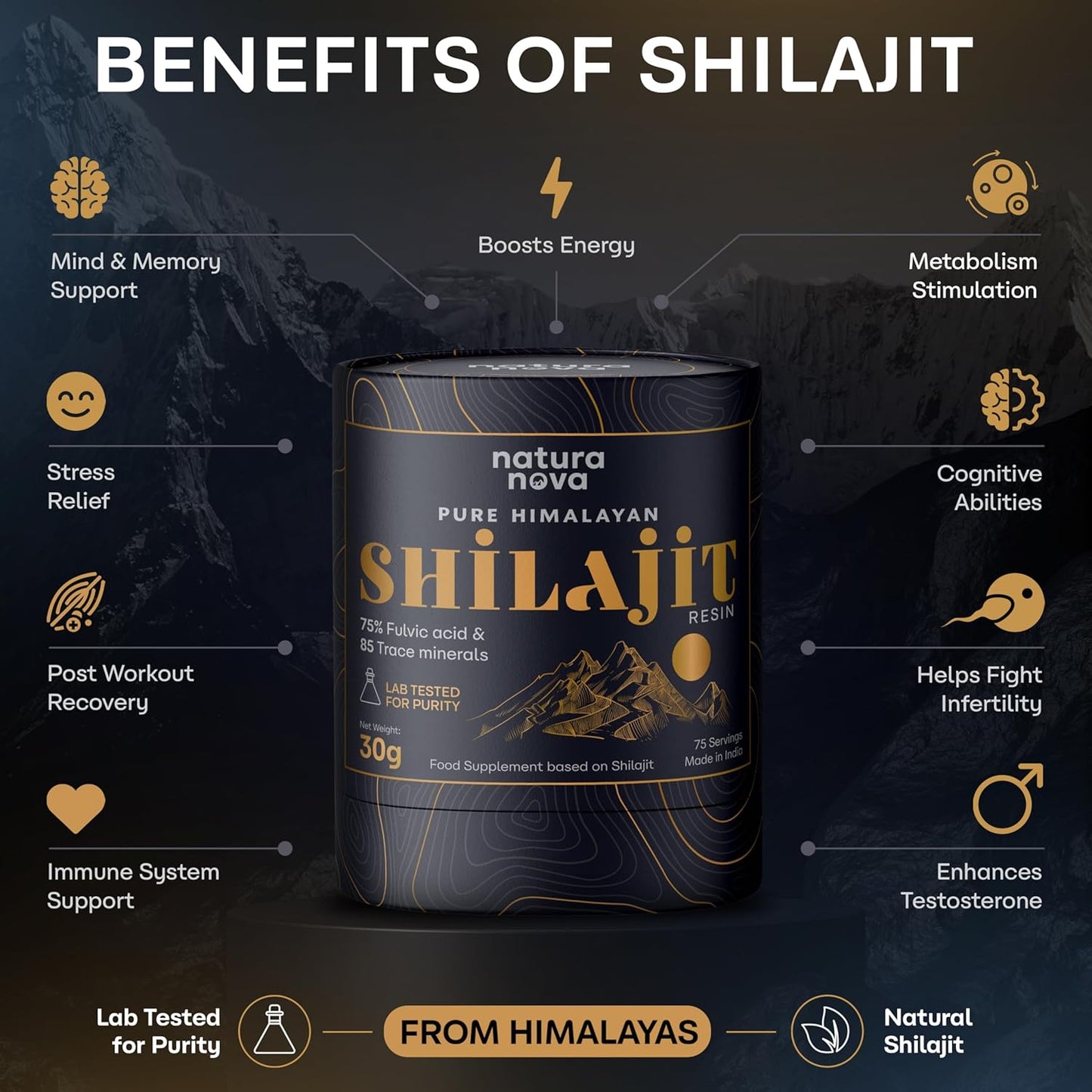 Pure Himalayan Shilajit Resin - 100% Natural | 70 Servings for Energy Boost, Immune Support